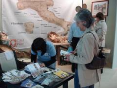 DSC00224.jpg