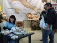 DSC00237.jpg