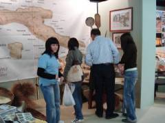 DSC00241.jpg