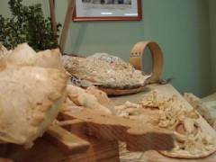 DSC00246.jpg