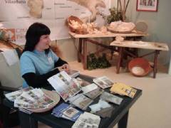DSC00249.jpg