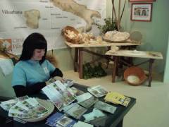 DSC00250.jpg