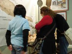 DSC00262.jpg