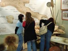 DSC00265.jpg