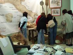 DSC00269.jpg
