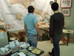 DSC00282.jpg