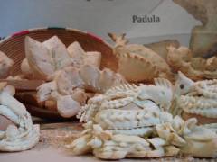 DSC00313.jpg